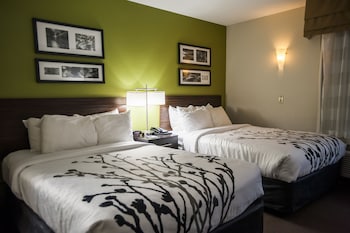 Standard Double Room, 2 Double Beds, Non Smoking