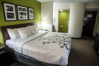 Standard Room, 1 King Bed, Non Smoking