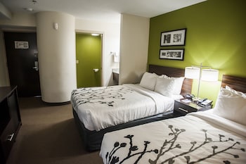 Standard Double Room, 2 Double Beds, Non Smoking