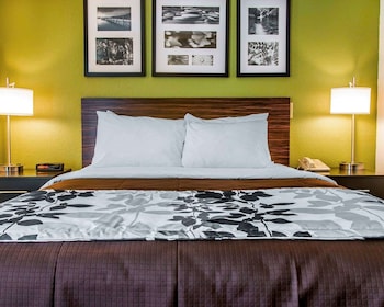 ADA Mobility Accessible Room, 1 Queen Bed, Non Smoking (Accessible Bathtub)