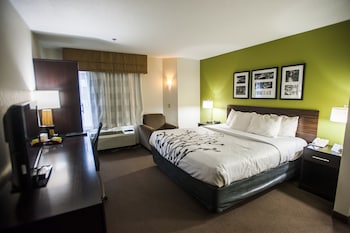 Standard Room, 1 King Bed, Non Smoking