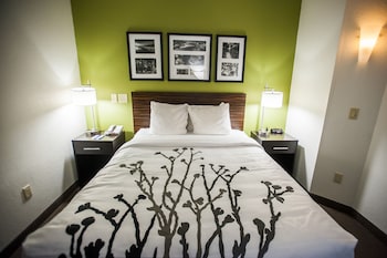ADA Mobility Accessible Room, 1 Queen Bed, Non Smoking (Accessible Bathtub)