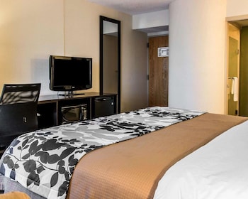 Standard Room, 1 King Bed, Non Smoking