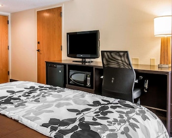 ADA Mobility Accessible Room, 1 Queen Bed, Non Smoking (Accessible Bathtub)
