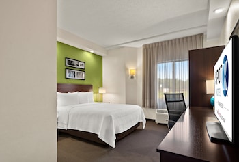 Business Room, 1 Queen Bed, Accessible, Non Smoking (Roll-In Shower)