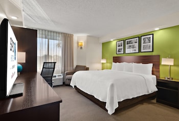 Business Room, 1 King Bed, Non Smoking