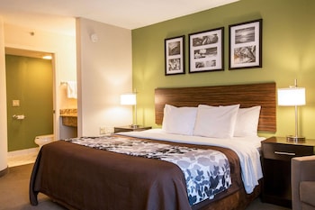 Standard Room, 1 King Bed, Non Smoking