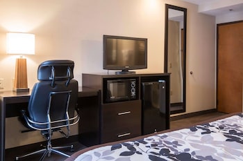 Standard Double Room, 2 Double Beds, Non Smoking