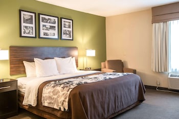 Standard Room, 1 King Bed, Non Smoking