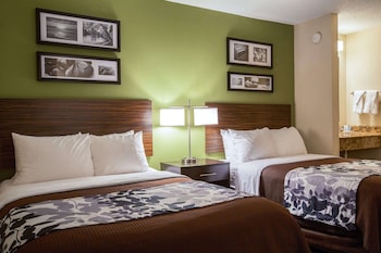 Standard Double Room, 2 Double Beds, Non Smoking