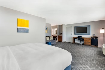 Suite, 1 King Bed with Sofa bed, Non Smoking (Large Room)