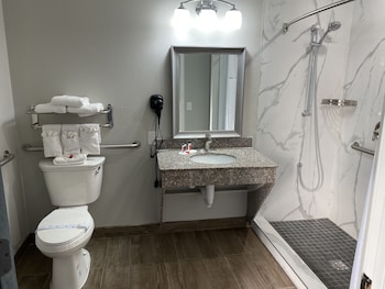 Room, 1 King Bed, Accessible, Non Smoking (Mobility)