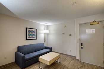 Suite, 1 King Bed with Sofa bed