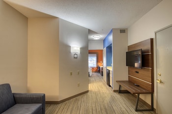 Suite, 1 King Bed with Sofa bed