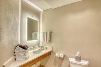 Suite, 1 King Bed with Sofa bed