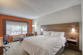 Suite, 1 King Bed with Sofa bed