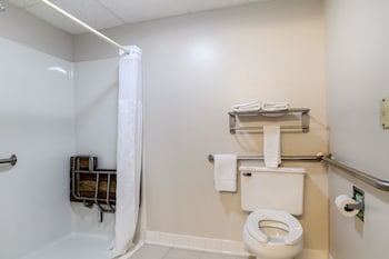 Room, 1 Queen Bed, Accessible, Non Smoking