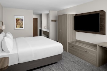 Standard Room, 1 King Bed (Pet Friendly)