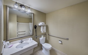 Room, 1 King Bed, Accessible, Non Smoking