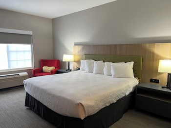 Room, 1 King Bed, Accessible Bathtub, Non Smoking