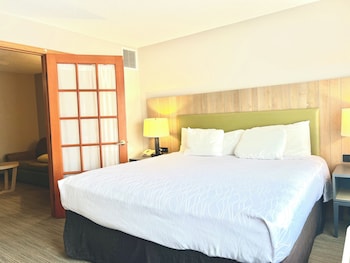 Deluxe Suite, 1 King Bed with Sofa bed, Non Smoking