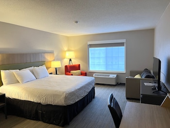 Standard Room, 1 King Bed with Sofa bed, Non Smoking