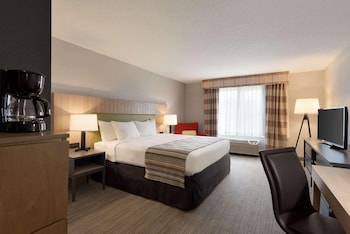 Standard Room, 1 King Bed, Non Smoking