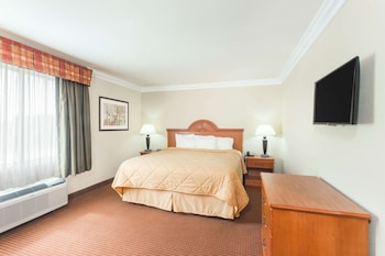 Suite, Multiple Beds, Non Smoking