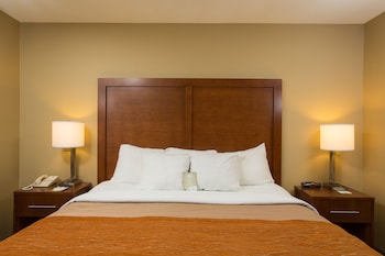 Suite, 1 King Bed with Sofa bed