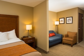 Suite, 1 King Bed with Sofa bed