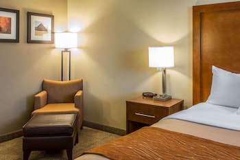 Room, 1 King Bed, Accessible, Non Smoking