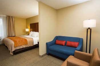 Suite, 1 King Bed with Sofa bed