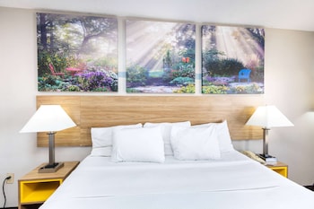 Standard Room, 1 King Bed, Accessible