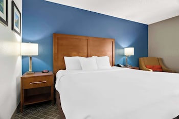 Room, 1 King Bed, Non Smoking