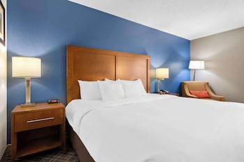 Standard Room, 1 King Bed, Non Smoking