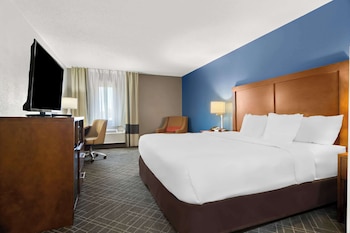 Standard Room, 1 King Bed, Non Smoking
