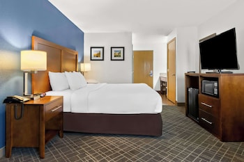 Standard Room, 1 King Bed, Non Smoking