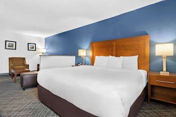 Room, 1 King Bed, Non Smoking