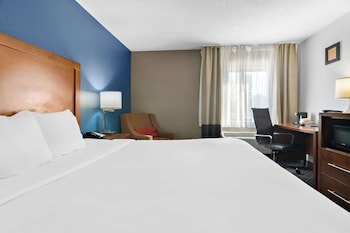 Room, 1 King Bed, Non Smoking