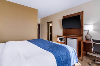 Room, 1 King Bed, Non Smoking