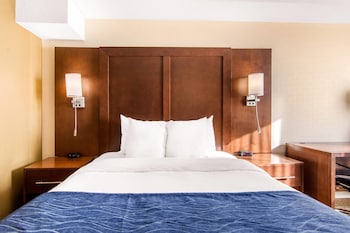 Standard Room, 1 Queen Bed, Non Smoking