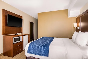 Standard Room, 1 Queen Bed, Non Smoking