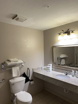 Standard Room, Accessible Bathtub