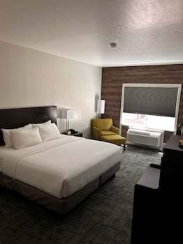 Basic Room, 1 King Bed