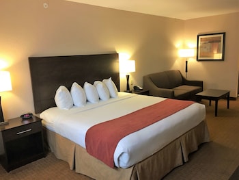 Standard Room, 1 King Bed, Non Smoking, Refrigerator & Microwave (Oversized Room;with Sofabed)