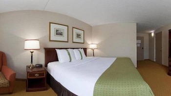 Suite, 1 King Bed (Additional Living Area)