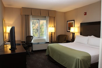Standard Room, 1 King Bed
