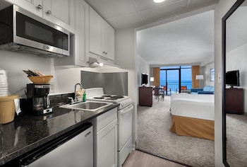 Standard Room, 1 King Bed, Accessible, Non Smoking (Walk-in Shower;with Sofabed, View)
