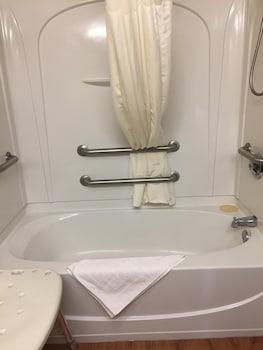 Standard Room, 1 King Bed, Accessible, Non Smoking (Walk-in Shower;with Sofabed, View)