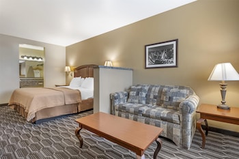 Standard Room, 1 King Bed, Non Smoking, Refrigerator & Microwave (with Sofabed)
